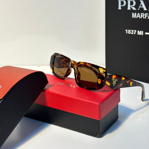 PR 17WS